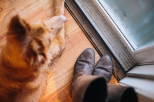 DeathtoStock_SlowDown5