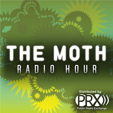 the moth