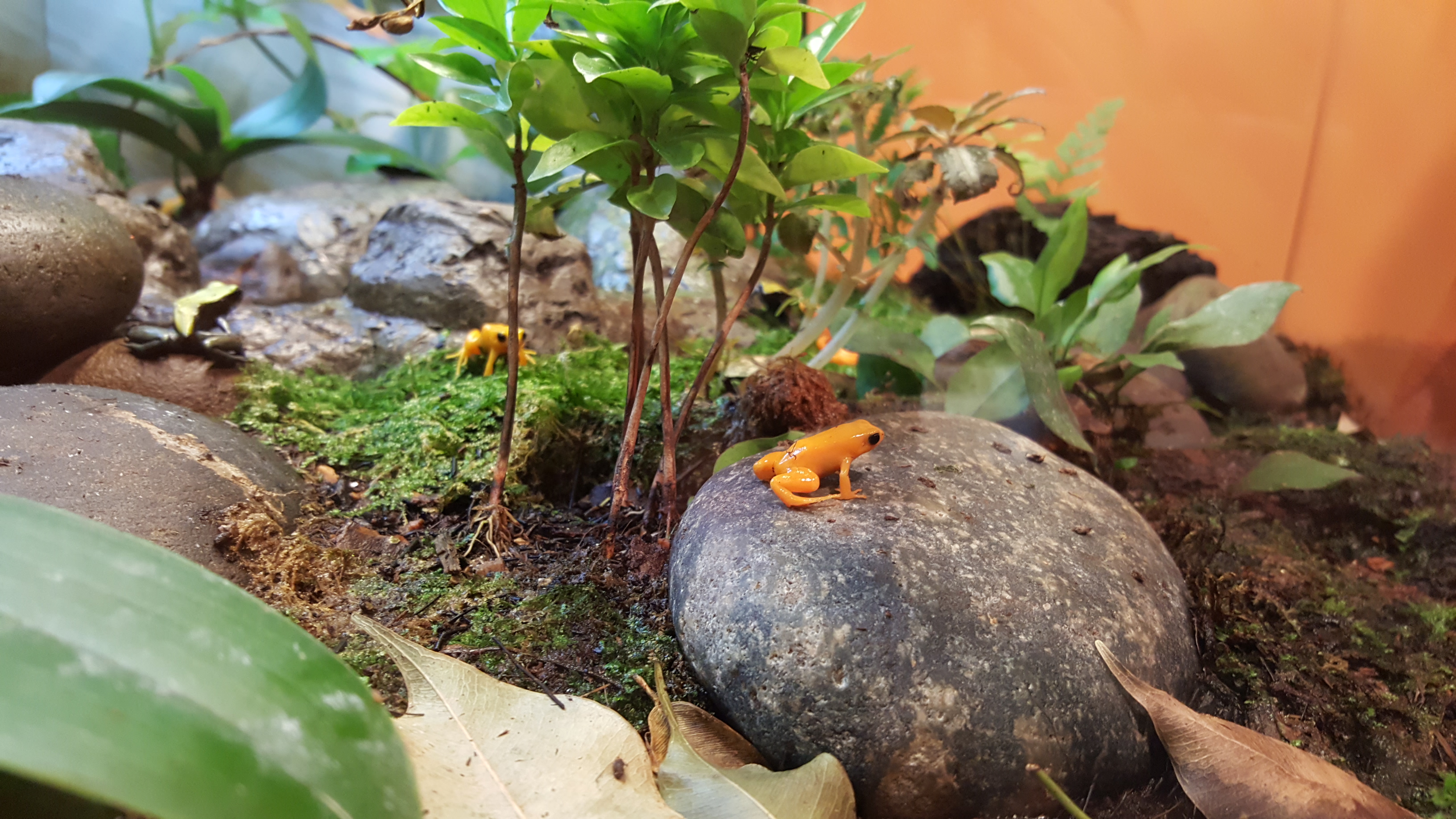 2016-06-20 11.32.47.jpg