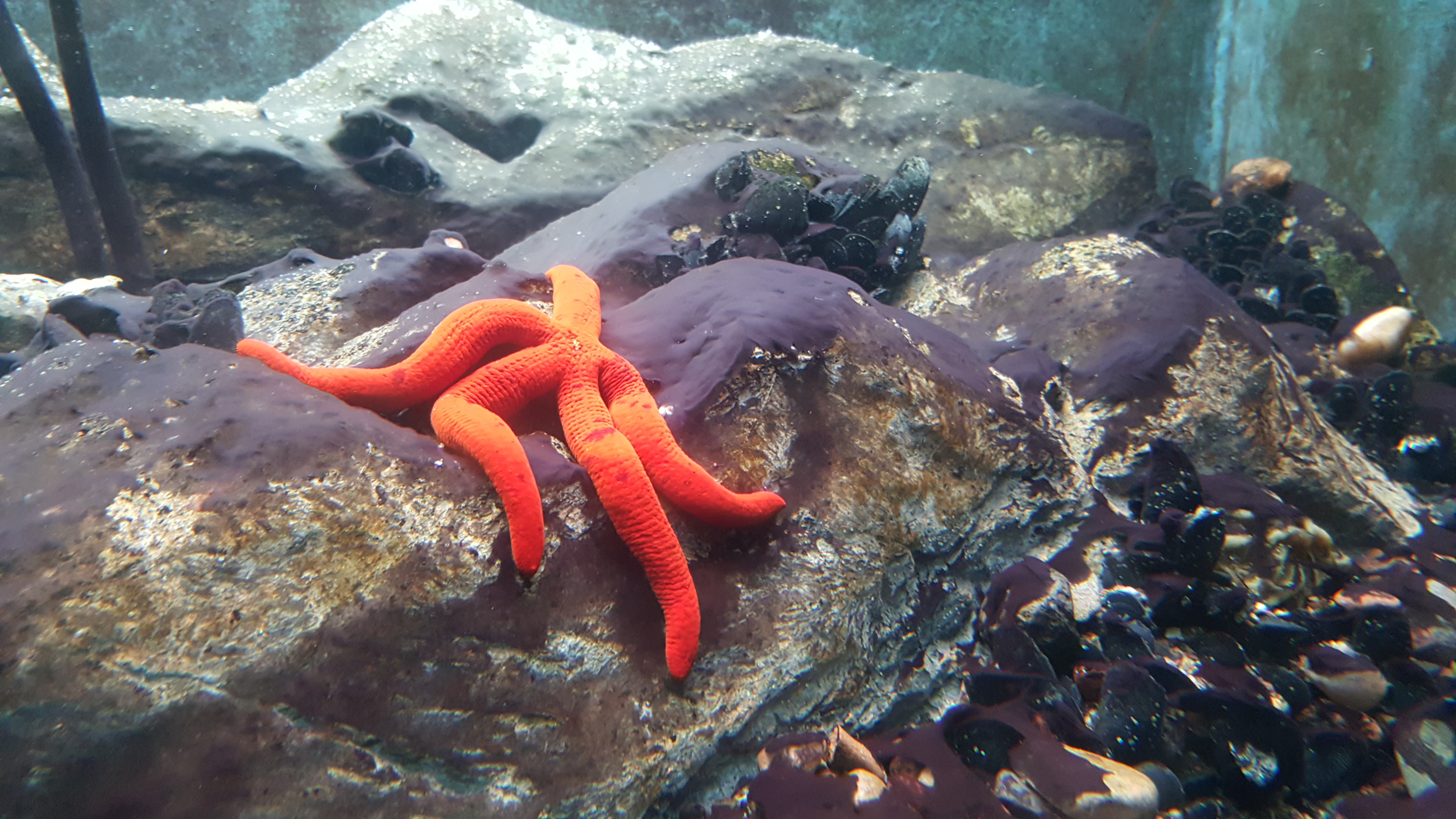 2016-06-20 12.13.08.jpg